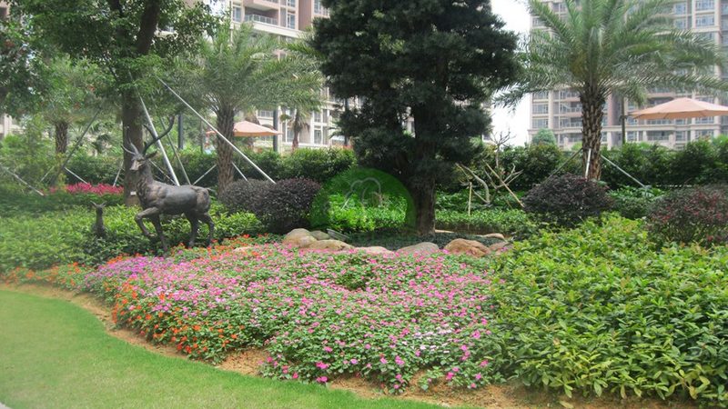 边坡喷播植草与挂网喷播区别解析