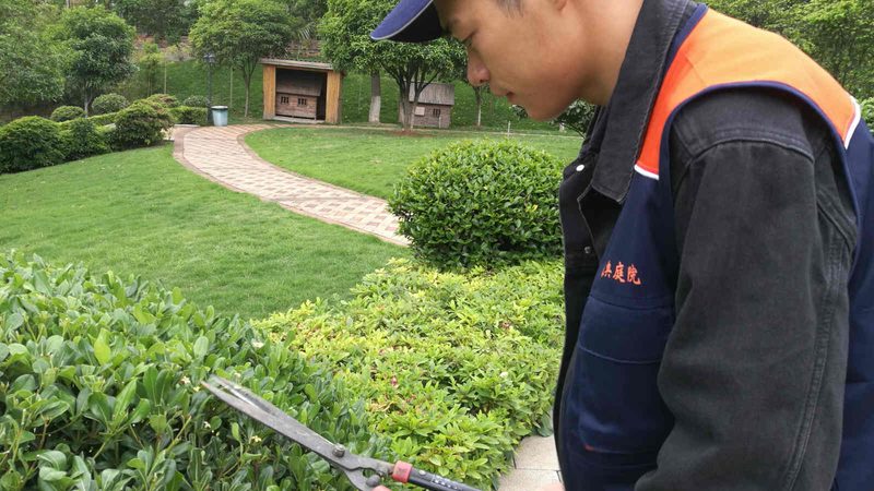 公司绿植租赁合同注意事项