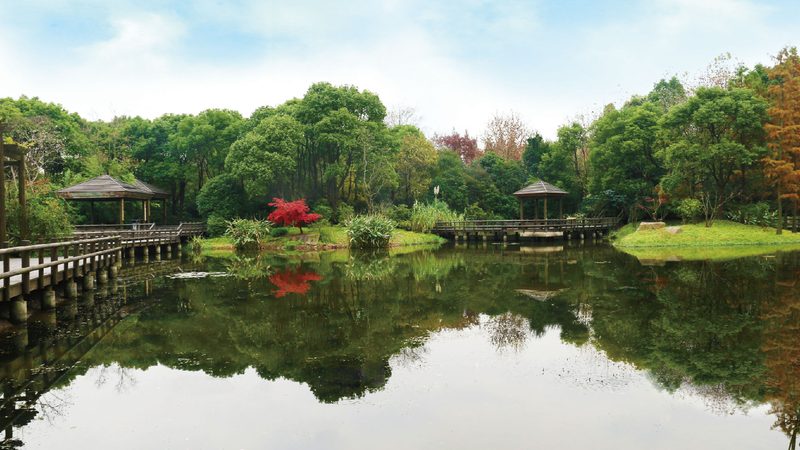 上海别墅花园设计，如何挑选排名前十的公司？**