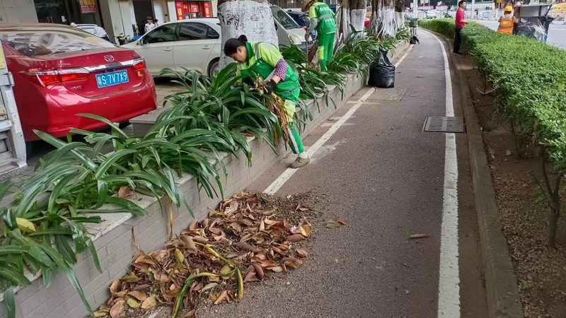 现状分析：老旧小区绿化现状
