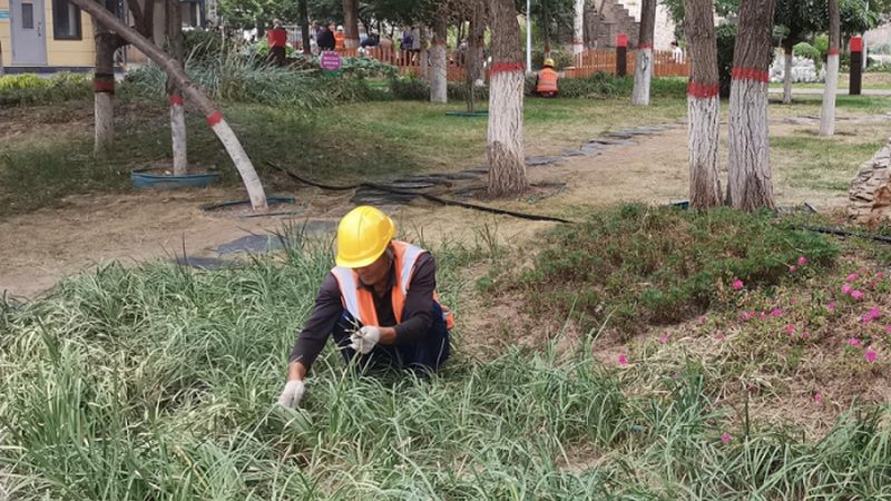 上海绿化资质代办理费用：合理性与对比解析**