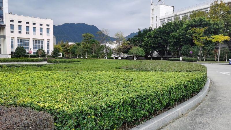 花卉租摆代理资质，你知道多少？**