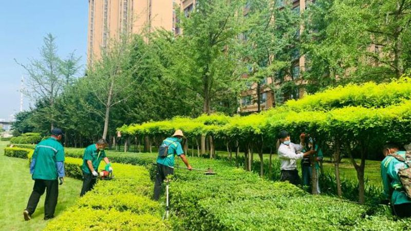 别墅花园照明，如何打造光影交织的浪漫空间？**